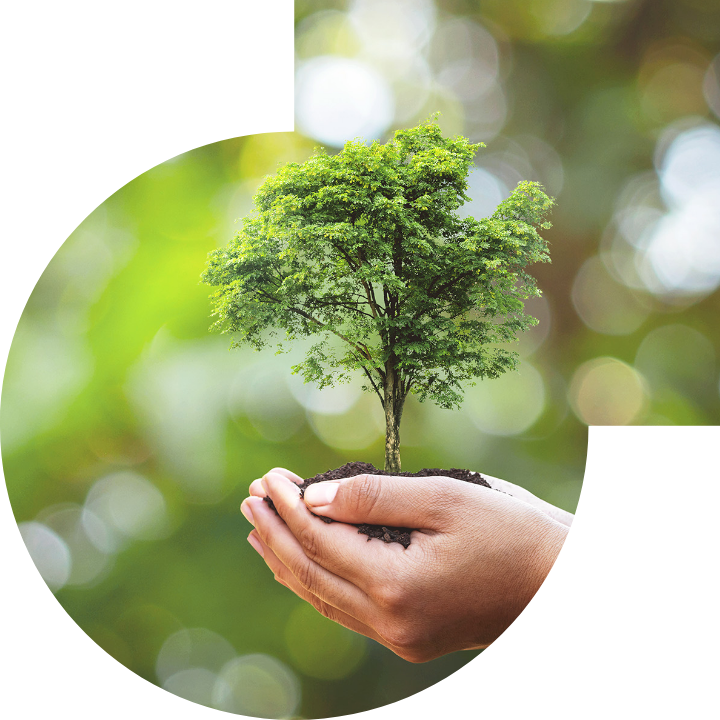 关怀人类、文化、环境与社会